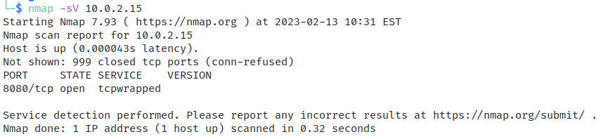 An Nmap scan report shows an open port 8080, with tcpwrapped service.