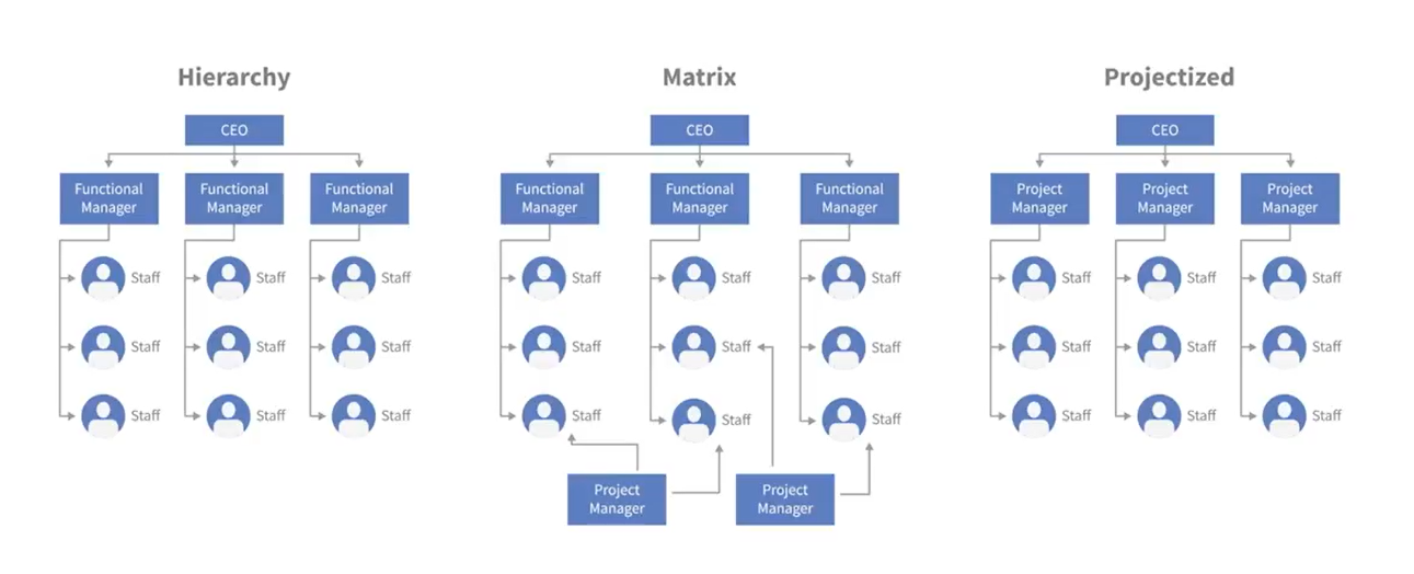 Organizational structure
