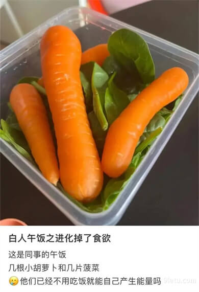 白人餐
